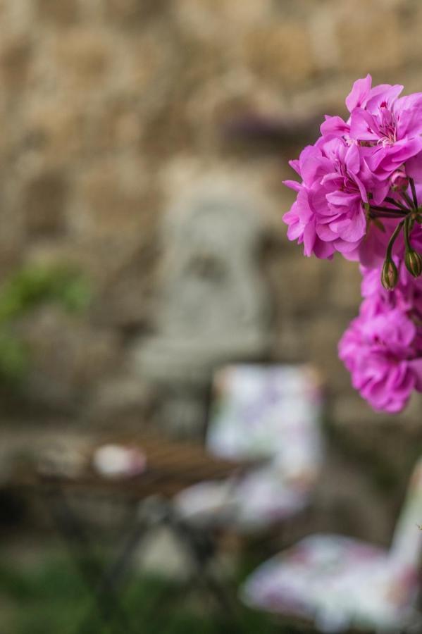 B&B Etruscan Garden Sutri Bagian luar foto