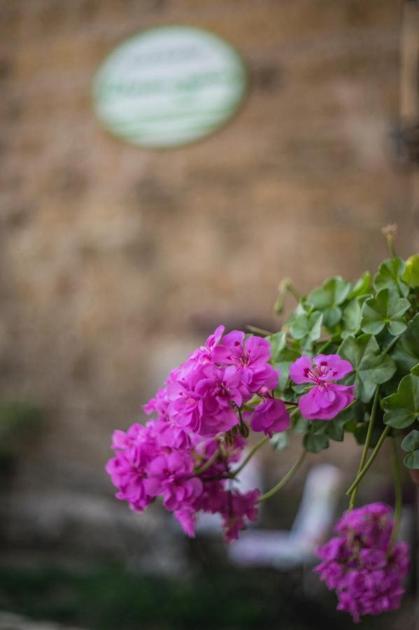 B&B Etruscan Garden Sutri Bagian luar foto