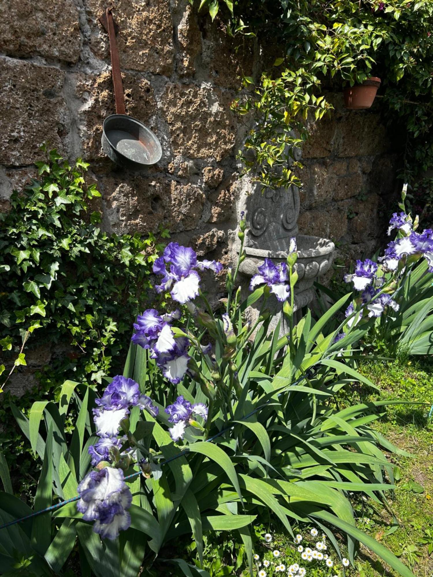 B&B Etruscan Garden Sutri Bagian luar foto